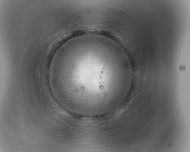 X0000112460913200908171159