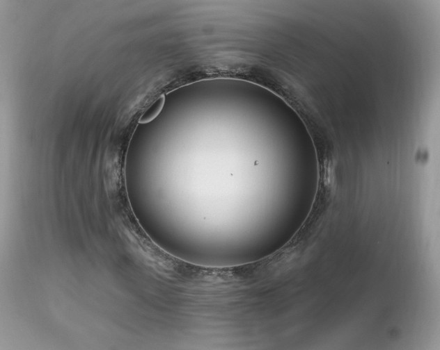 X0000112460915200908171159