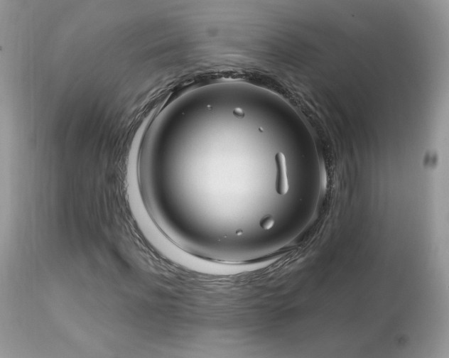 X0000112460916200908171159