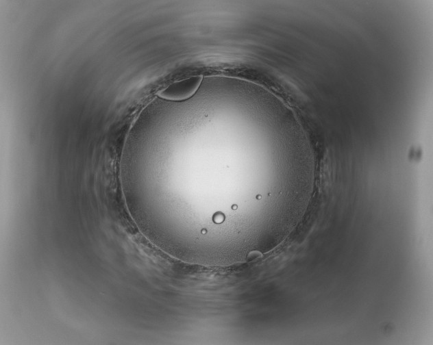 X0000112460917200908171159