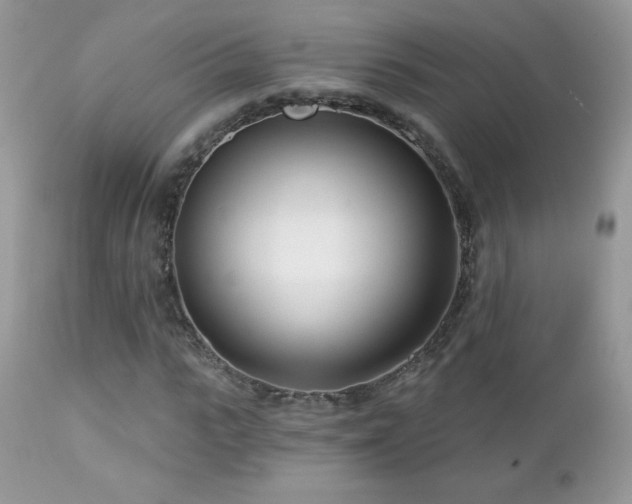 X0000112460919200908171159