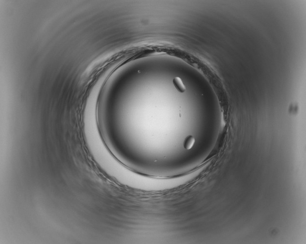 X0000112460920200908171159