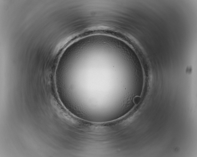 X0000112460921200908171159