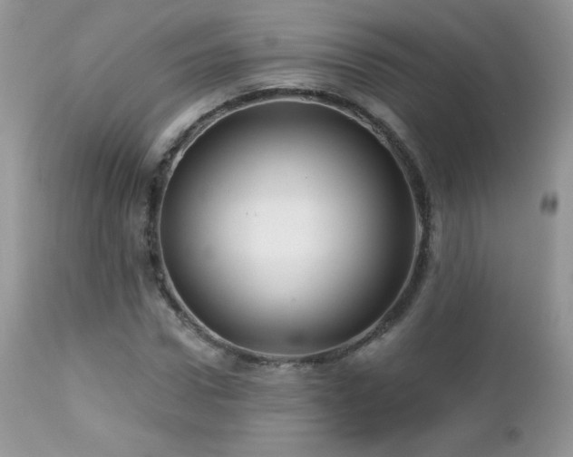 X0000112460922200908171159