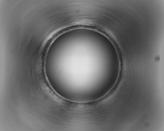 X0000112460923200908171159