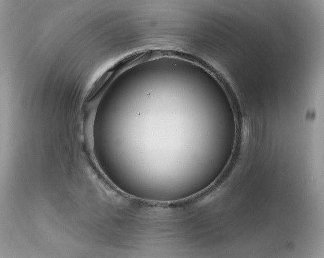 X0000112460925200908171159