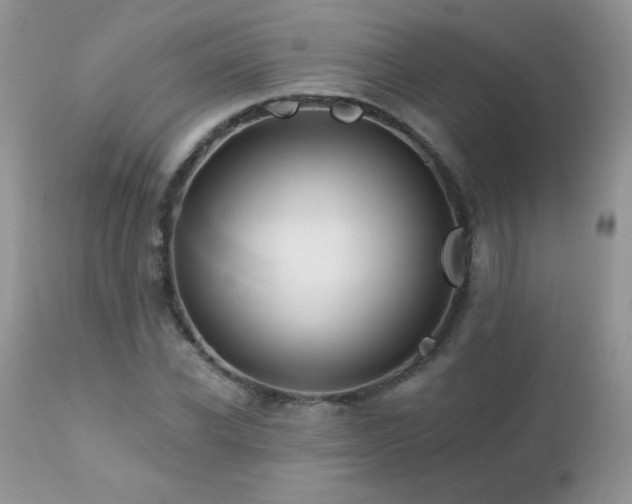 X0000112460926200908171159