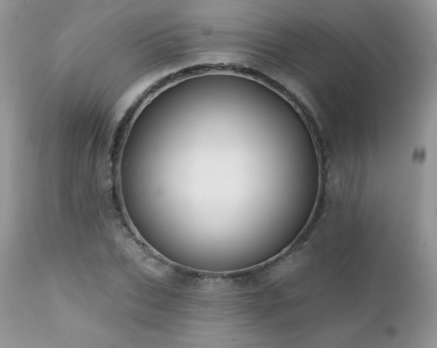 X0000112460927200908171159