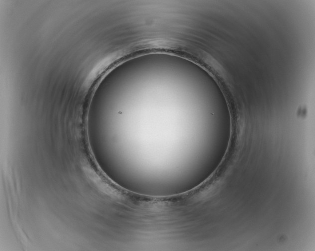 X0000112460930200908171159