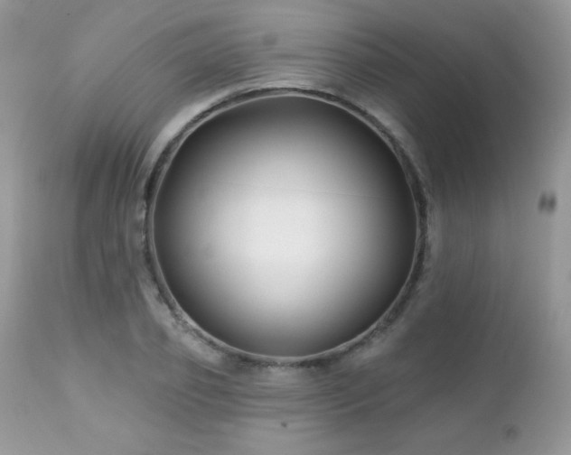 X0000112460933200908171159
