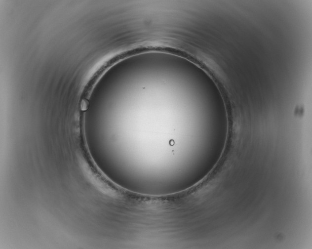 X0000112460934200908171159