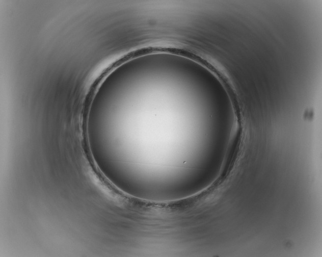 X0000112460935200908171159