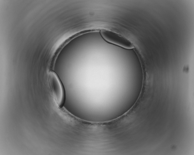 X0000112460936200908171159