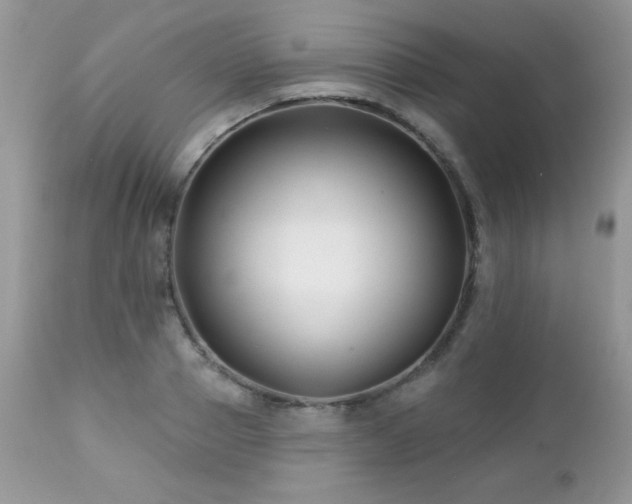 X0000112460937200908171159
