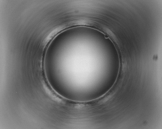 X0000112460938200908171159