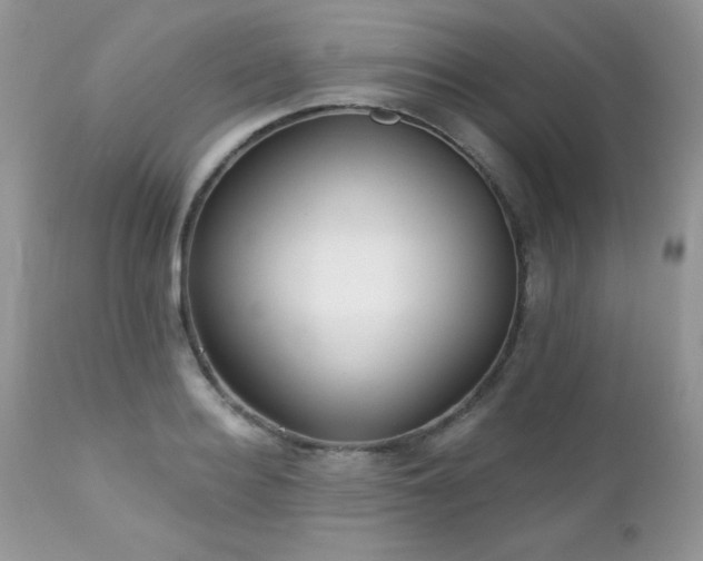 X0000112460940200908171159