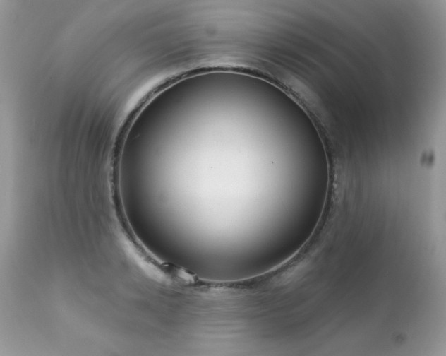 X0000112460942200908171159