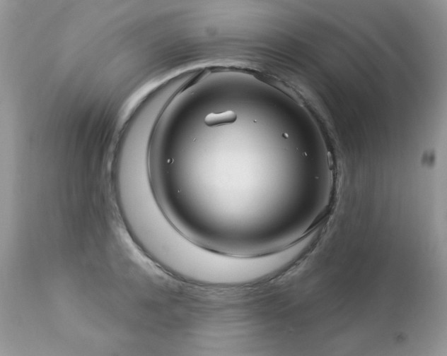 X0000112460944200908171159