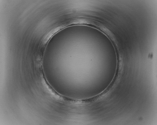 X0000112460945200908171159