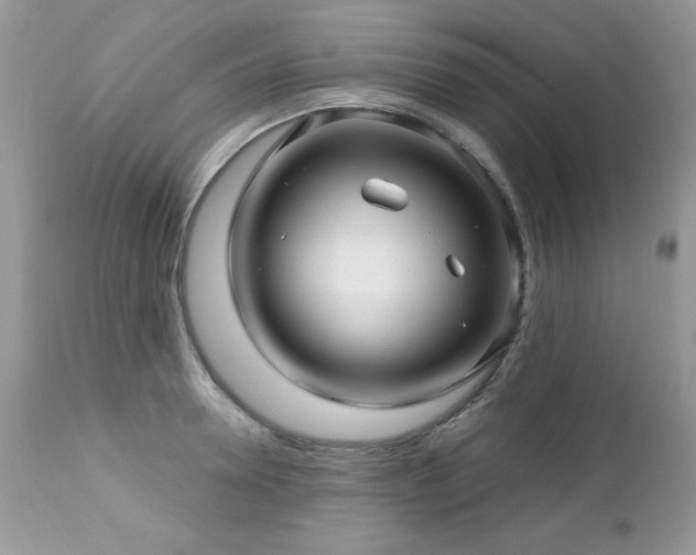 X0000112460946200908171159