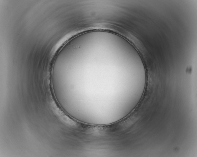 X0000112460950200908171200