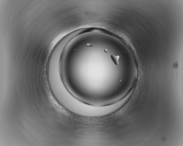 X0000112460952200908171200