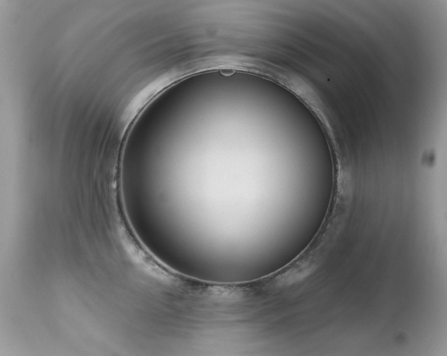 X0000112460954200908171200