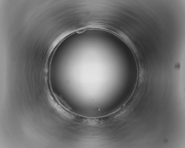 X0000112460955200908171200