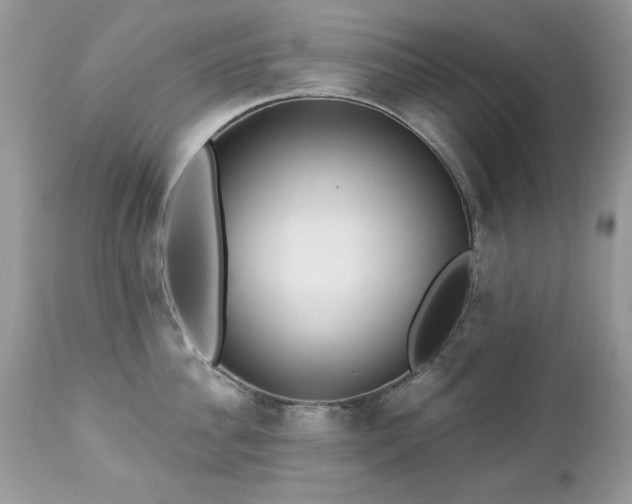 X0000112460956200908171200