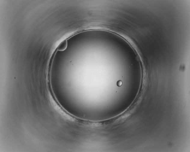 X0000112460957200908171200