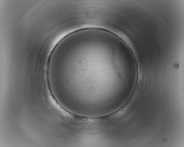 X0000112460958200908171200