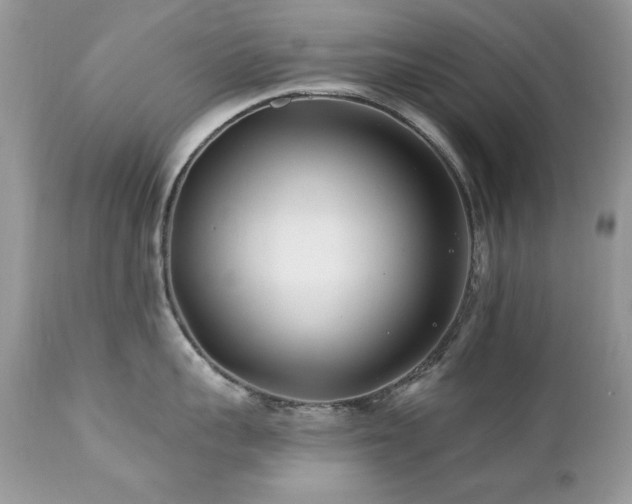 X0000112460959200908171200
