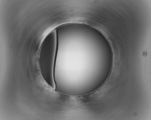 X0000112460960200908171200