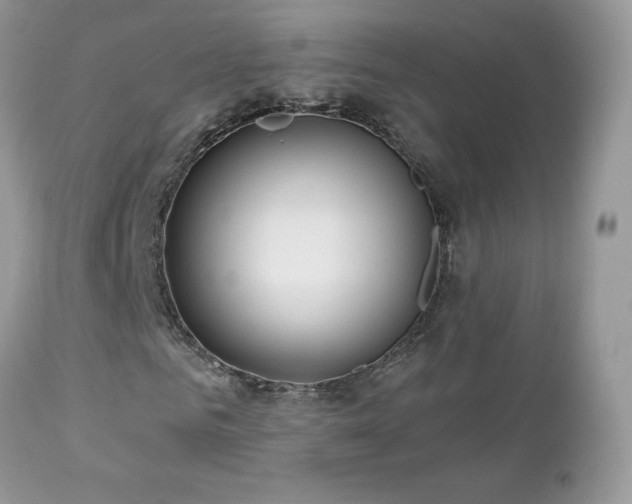 X0000112460961200908171159