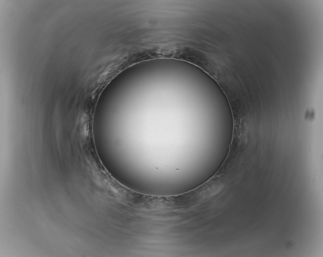 X0000112460962200908171159