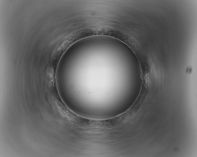 X0000112460963200908171159