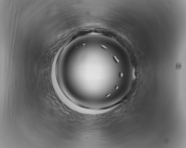 X0000112460965200908171159