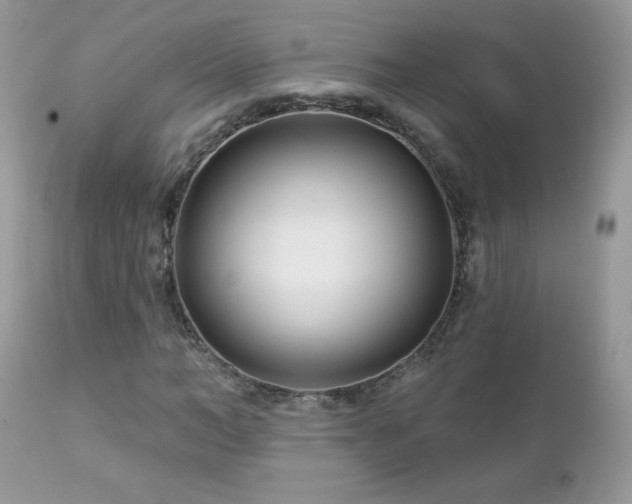 X0000112460966200908171159