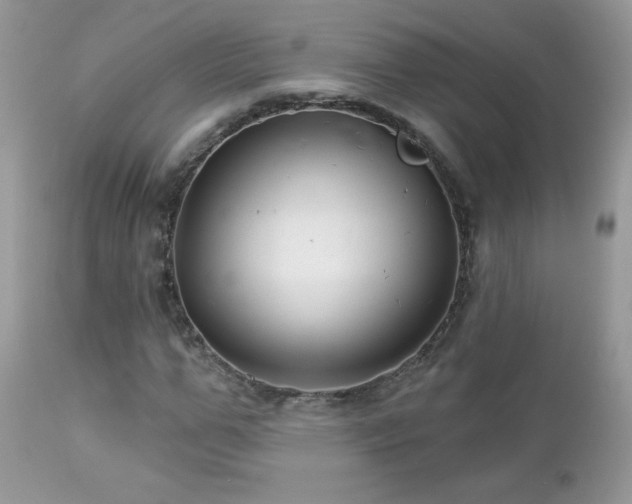 X0000112460967200908171159