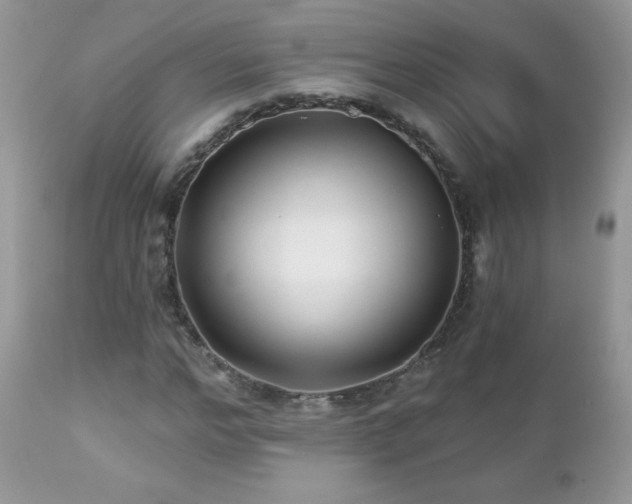 X0000112460968200908171159
