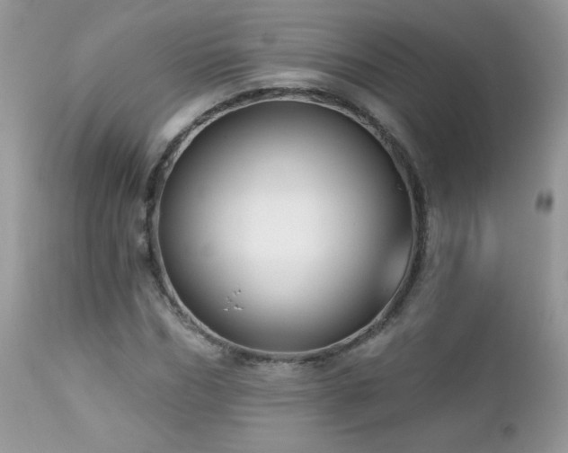 X0000112460970200908171159