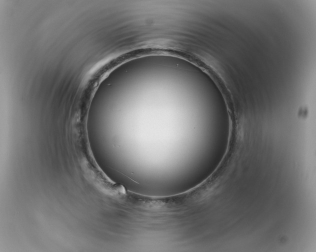 X0000112460971200908171158