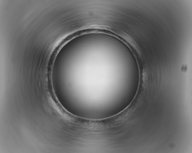 X0000112460972200908171158