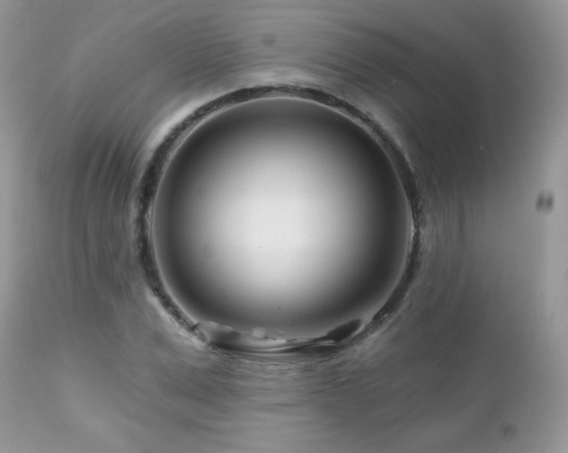 X0000112460975200908171158