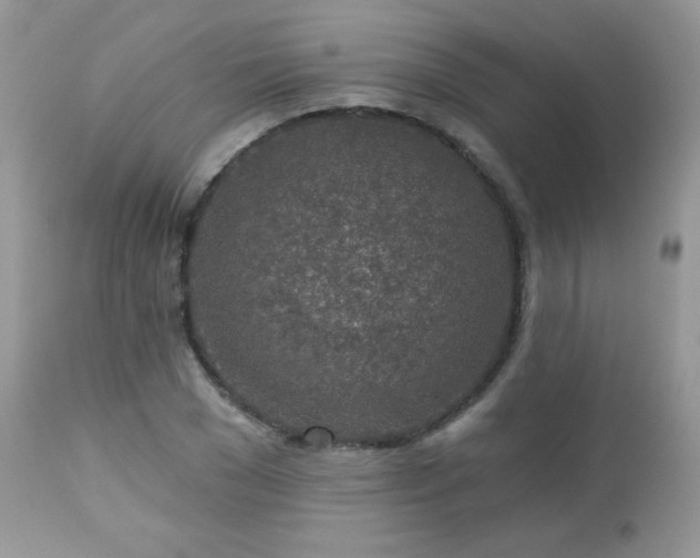 X0000112460977200908171158