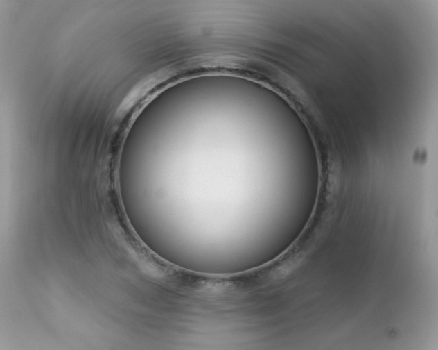 X0000112460978200908171158