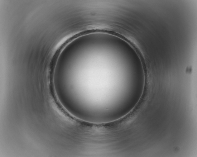 X0000112460983200908171158