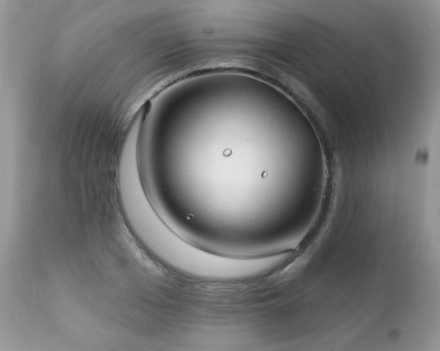 X0000112460985200908171158