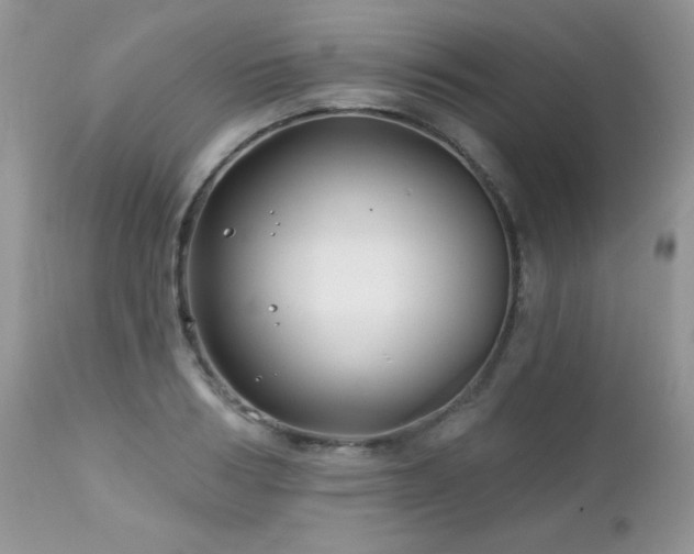 X0000112460986200908171158