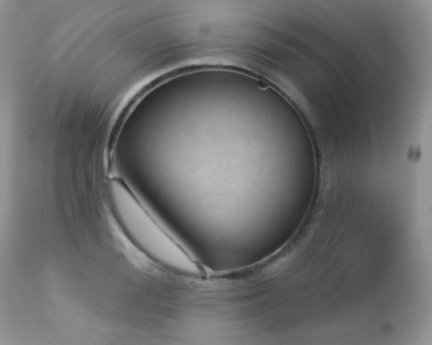 X0000112460988200908171158